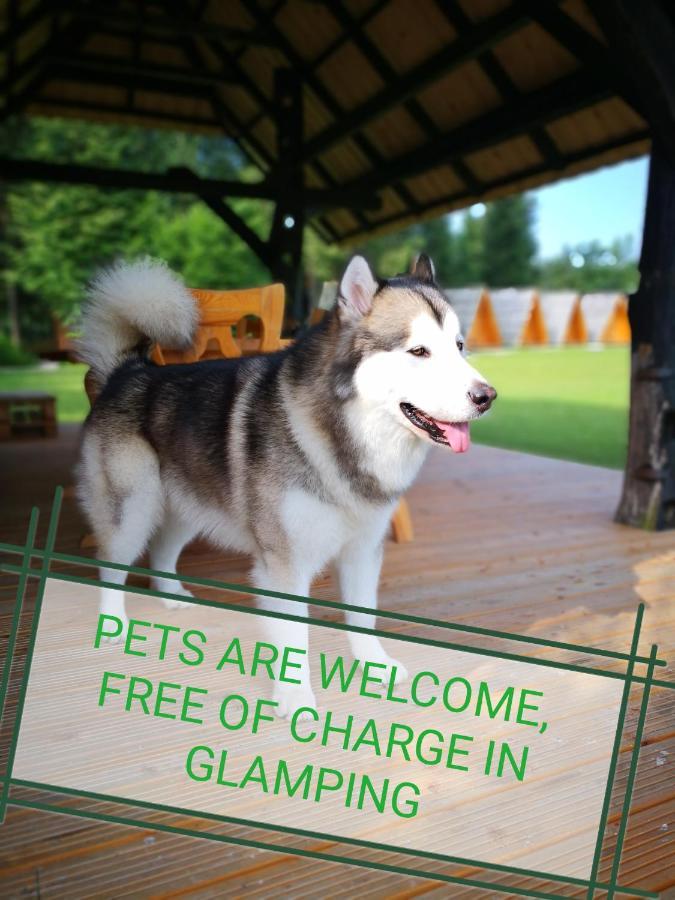 Glamping Forest Edge كامنيك المظهر الخارجي الصورة