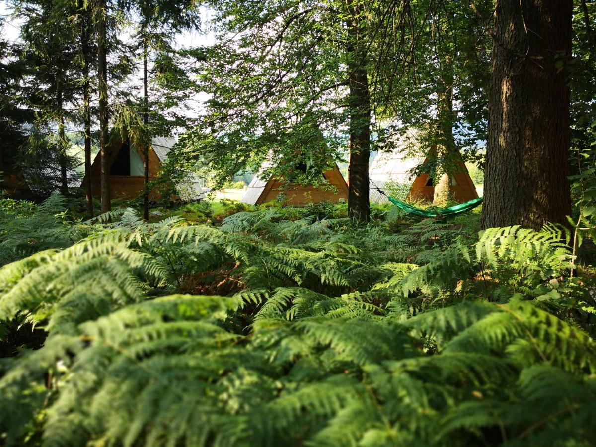 Glamping Forest Edge كامنيك المظهر الخارجي الصورة