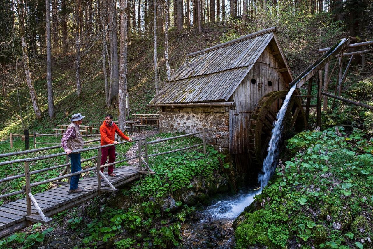 Glamping Forest Edge كامنيك المظهر الخارجي الصورة